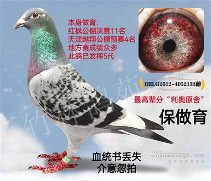 最高辈分-利奥原舍 作育众多成绩