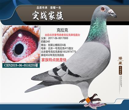 当前位置>信鸽拍卖首页>拍卖专题>查看拍卖商品>克拉克235