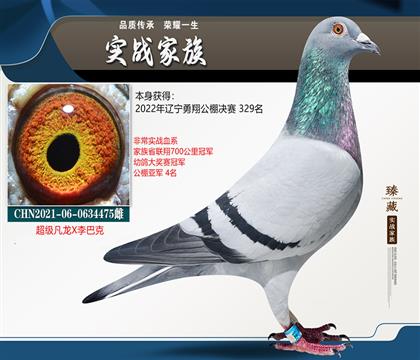 当前位置>信鸽拍卖首页>拍卖专题>查看拍卖商品>超级凡龙x李巴克