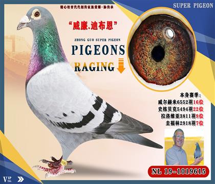 当前位置>信鸽拍卖首页>拍卖专题>查看拍卖商品>威廉.迪布恩"