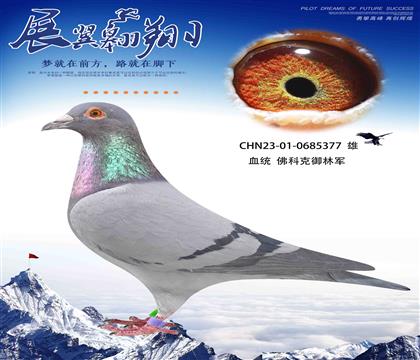 佛科克配御林军神领队作出