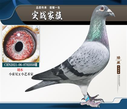 胡本 小索尼号x小艺术家