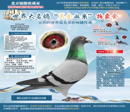 当前位置>信鸽拍卖首页>拍卖专题>查看拍卖商品>重点推荐-利奥原舍:第