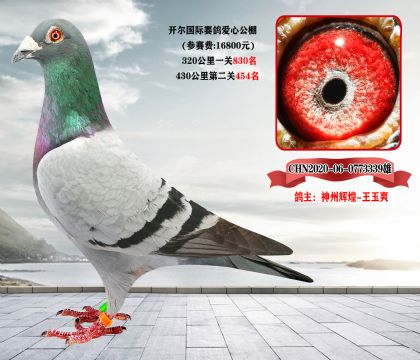 当前位置>信鸽拍卖首页>拍卖专题>查看拍卖商品> 神州辉煌-王玉爽.