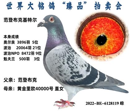 范登布克1年不出奖退换,超级重点推荐