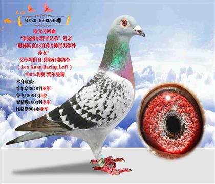 利奥原舍 "欧元号回血" 本身3649羽亚军