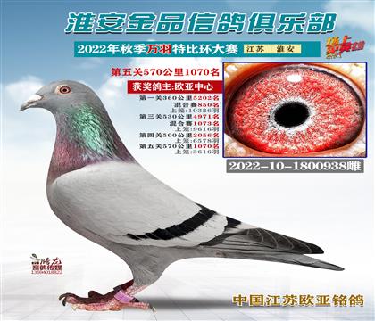 詹森老白眼276x詹森断胸骨老白眼881