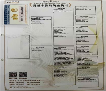 血统书