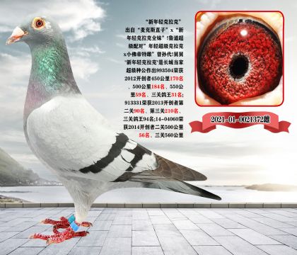 北京"壹号"克拉克