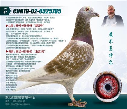 易鸽传媒 - 中信网铭鸽展厅