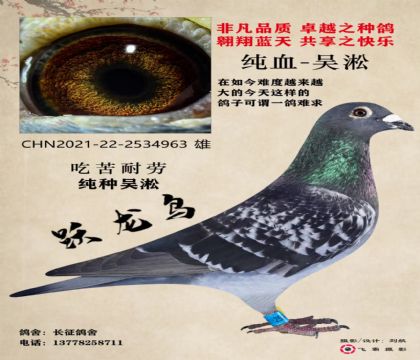 当前位置>信鸽拍卖首页>拍卖专题>查看拍卖商品>吴淞跃龙