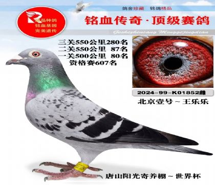 唐山阳光寄养棚