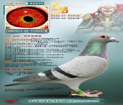 彼得曼德斯x奶酪240