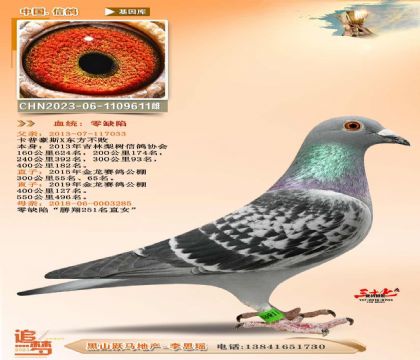 卡普豪斯x零缺陷