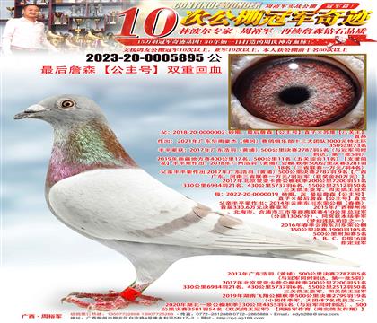 最后詹森"公主号"双重回血