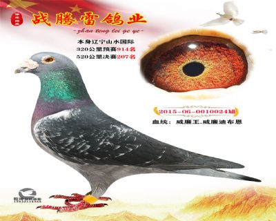 当前位置>信鸽拍卖首页>拍卖专题>查看拍卖商品>威廉王.威廉迪布恩