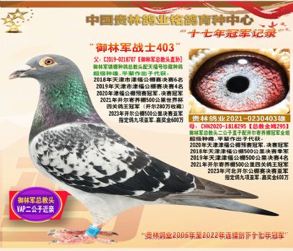 御林军冠军家族国庆钜惠拍卖1期