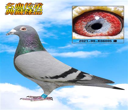唐山阳光