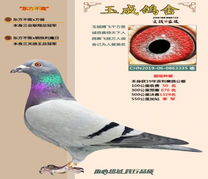 东方不败,本身吉利公棚季军,超级种雄