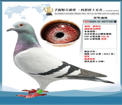 当前位置>信鸽拍卖首页>拍卖专题>查看拍卖商品>北京石景山赛鸽公棚