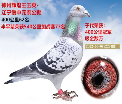 神州辉煌王玉爽-选送:辽宁绥中元泰公棚