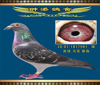 速度国王 马克詹森