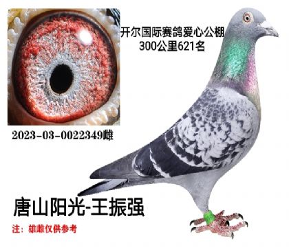 唐山阳光王振强选送开尔大棚
