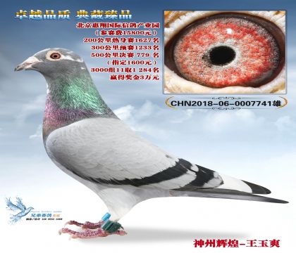 神州辉煌-王玉爽惠翔779名