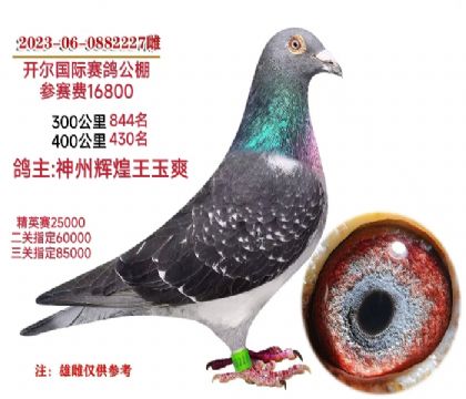 神州辉煌王玉爽选送开尔