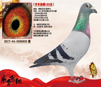 3开尔公棚加站赛132名杨欧瓦克483近亲