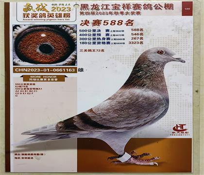 神州大绛,神州辉煌王玉爽的公棚477名直子,本身588名