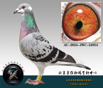 27-AU-2024-JWC-24954