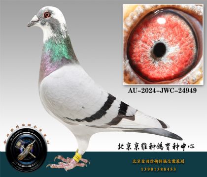 36-AU-2024-JWC-24949