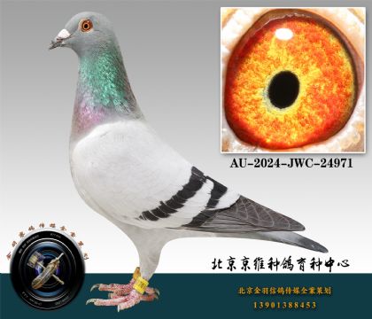 39-AU-2024-JWC-24971