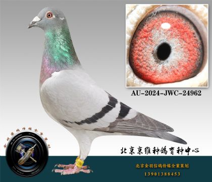 40-AU-2024-JWC-24962