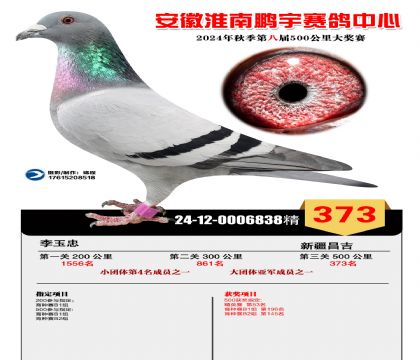 安徽鹏宇决赛373名