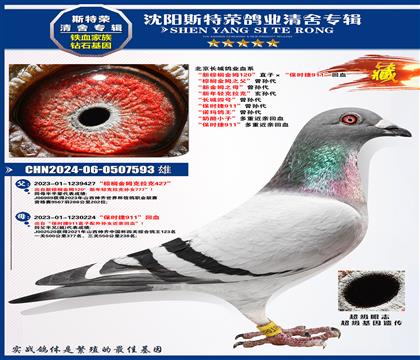 鵽ķ120ֱӡʱ911Ѫ