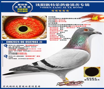 ΰ·390ڶ583ͼ˹˧硱ֱ