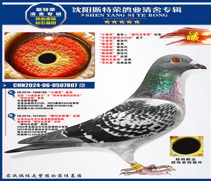 濼Ѫϵȫʡȫܸ23λֱӡϣ