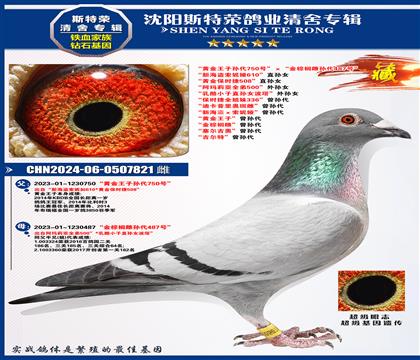 ƽ750š鵴487šº