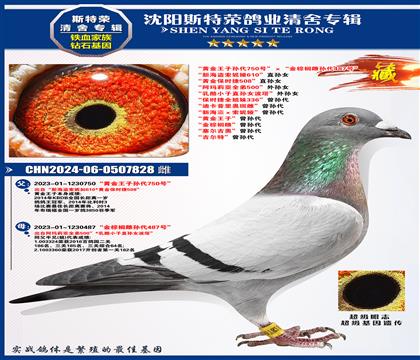 ƽ750š鵴487š º
