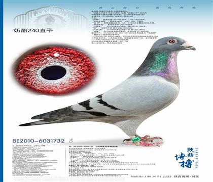 超级种雄732
