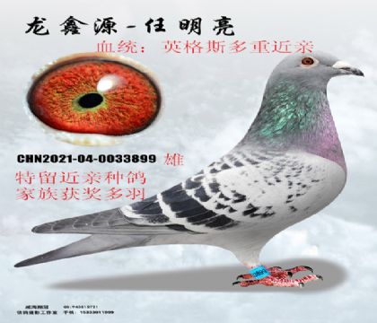 ԴӢ˹