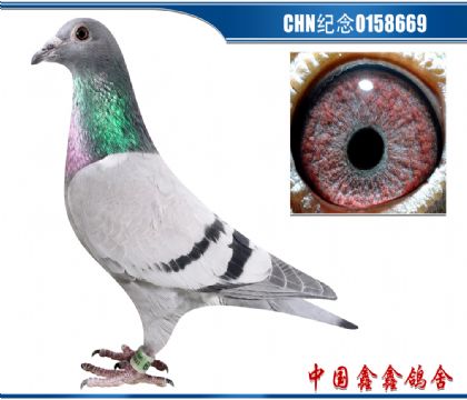 ˹٣߶½ķֱX½ķֱŮ0158669