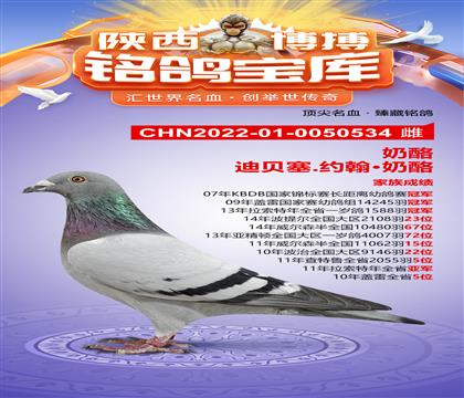 ҡǱ