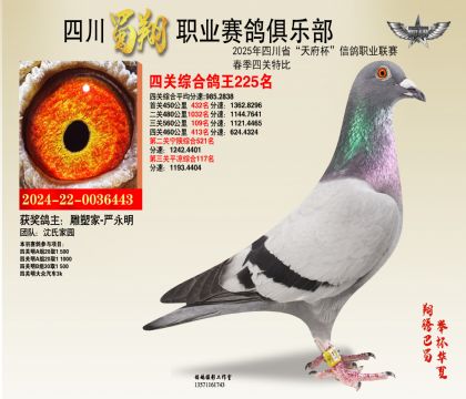 ĴĹظ225