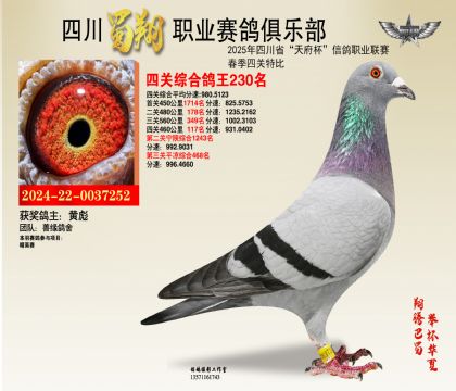 ĴĹظ230