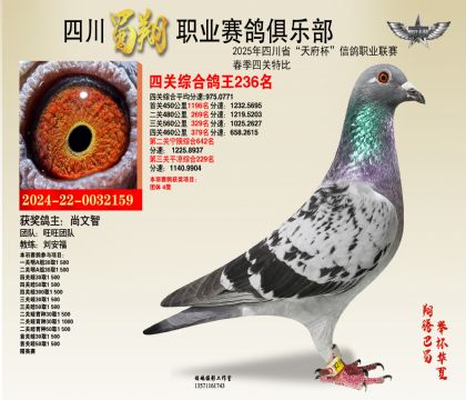 ĴĹظ236