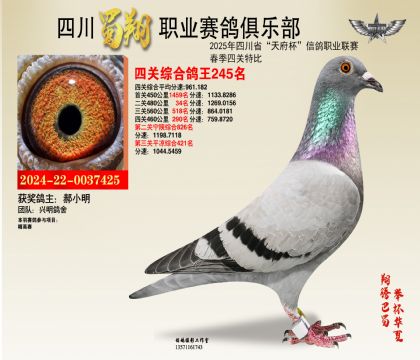 ĴĹظ245