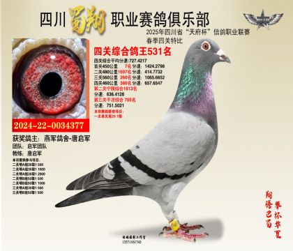 ĴĹظ531